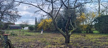 Location maison Riencourt-lès-Cagnicourt 62182 Pas-de-Calais 108 m2  850 euros