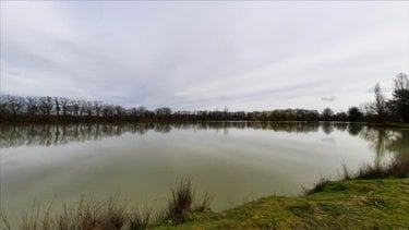 Terrains de loisirs bois etangs a vendre Arthon 36330 Indre 92910 m2  196200 euros