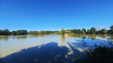 Terrains de loisirs bois etangs a vendre Arthon 36330 Indre 92910 m2  196200 euros