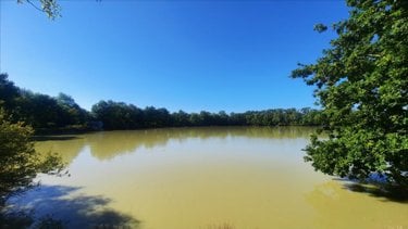 Terrains de loisirs bois etangs a vendre Arthon 36330 Indre 92910 m2  196200 euros