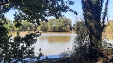 Terrains de loisirs bois etangs a vendre Arthon 36330 Indre 92910 m2  196200 euros