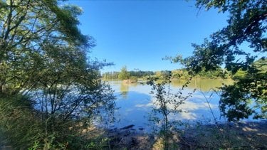 Terrains de loisirs bois etangs a vendre Arthon 36330 Indre 92910 m2  196200 euros
