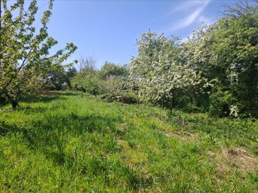 Terrain a batir a vendre Saint-Vaast-la-Hougue 50550 Manche 925 m2  99560 euros