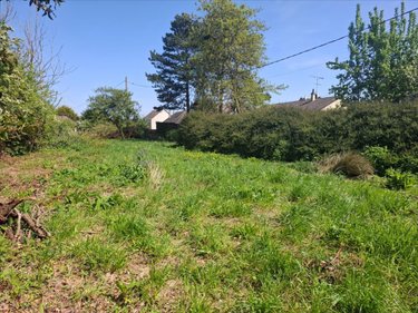 Terrain a batir a vendre Saint-Vaast-la-Hougue 50550 Manche 925 m2  99560 euros