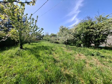 Terrain a batir a vendre Saint-Vaast-la-Hougue 50550 Manche 925 m2  99560 euros