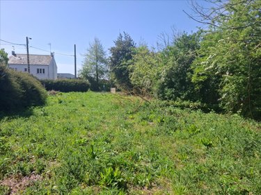 Terrain a batir a vendre Saint-Vaast-la-Hougue 50550 Manche 925 m2  99560 euros