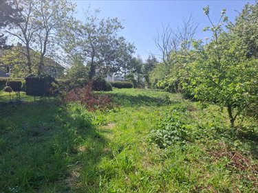 Terrain a batir a vendre Saint-Vaast-la-Hougue 50550 Manche 925 m2  99560 euros