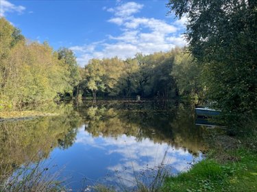 Terrains de loisirs bois etangs a vendre Guéhenno 56420 Morbihan 18000 m2  74000 euros
