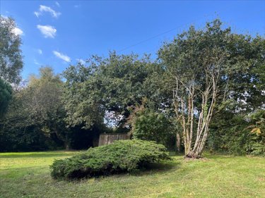 Terrains de loisirs bois etangs a vendre Guéhenno 56420 Morbihan 18000 m2  74000 euros