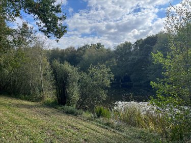 Terrains de loisirs bois etangs a vendre Guéhenno 56420 Morbihan 18000 m2  74000 euros