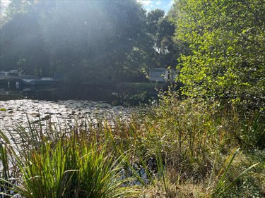 Terrains de loisirs bois etangs a vendre Guéhenno 56420 Morbihan 18000 m2  74000 euros