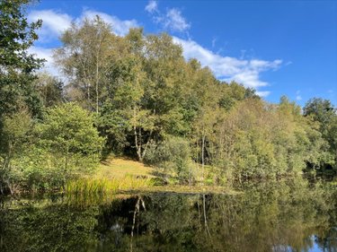 Terrains de loisirs bois etangs a vendre Guéhenno 56420 Morbihan 18000 m2  74000 euros