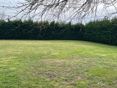 Terrain a batir a vendre Dompierre-sur-Veyle 01240 Ain 780 m2  95000 euros