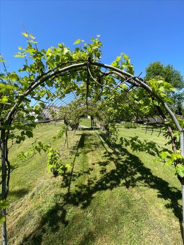 Maison a vendre Marans 17230 Charente-Maritime 110 m2 4 pièces 364000 euros