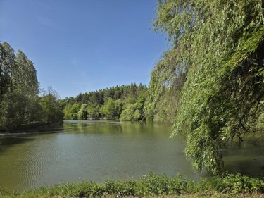 Terrains de loisirs bois etangs a vendre La Roche-Neuville 53200 Mayenne 31445 m2  95700 euros