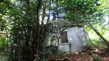 Maison a vendre Vicq-sur-Nahon 36600 Indre 60 m2 2 pièces 17400 euros