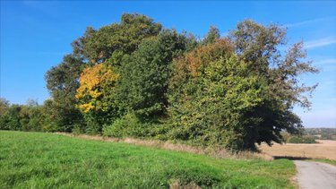 Maison a vendre Vicq-sur-Nahon 36600 Indre 60 m2 2 pièces 17400 euros