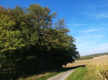 Maison a vendre Vicq-sur-Nahon 36600 Indre 60 m2 2 pièces 17400 euros