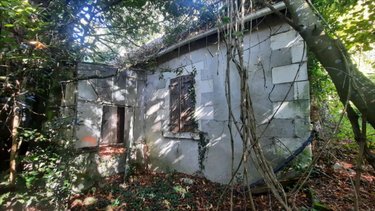 Maison a vendre Vicq-sur-Nahon 36600 Indre 60 m2 2 pièces 17400 euros