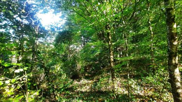 Maison a vendre Vicq-sur-Nahon 36600 Indre 60 m2 2 pièces 17400 euros