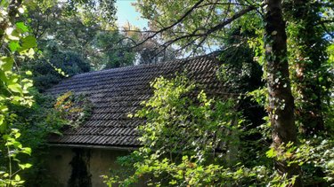 Maison a vendre Vicq-sur-Nahon 36600 Indre 60 m2 2 pièces 17400 euros