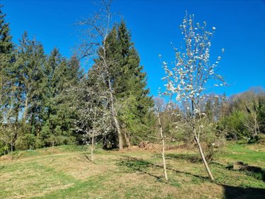 Maison a vendre Coulouvray-Boisbenâtre 50670 Manche 110 m2 5 pièces 169540 euros