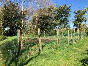 Maison a vendre Scrignac 29640 Finistère 85 m2 5 pièces 137150 euros