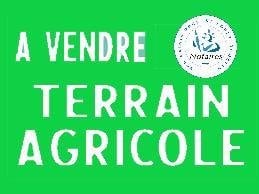 Bien agricole a vendre Venesmes 18190 Cher  44250 euros