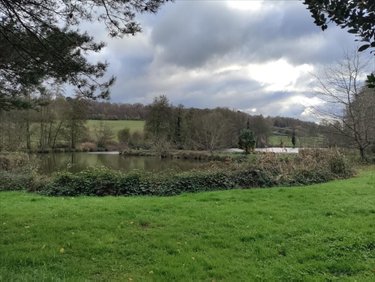 Terrains de loisirs bois etangs a vendre Saint-Jean-de-la-Motte 72510 Sarthe 29040 m2  75040 euros