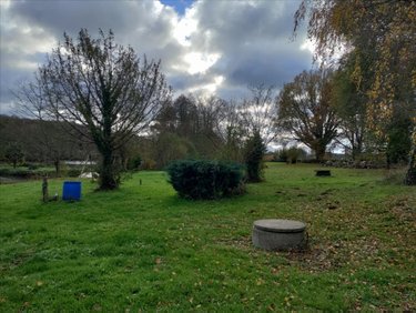 Terrains de loisirs bois etangs a vendre Saint-Jean-de-la-Motte 72510 Sarthe 29040 m2  75040 euros