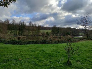 Terrains de loisirs bois etangs a vendre Saint-Jean-de-la-Motte 72510 Sarthe 29040 m2  75040 euros