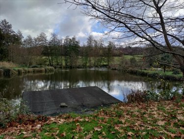 Terrains de loisirs bois etangs a vendre Saint-Jean-de-la-Motte 72510 Sarthe 29040 m2  75040 euros