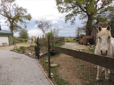 Maison a vendre Plouyé 29690 Finistère 150 m2 8 pièces 199500 euros