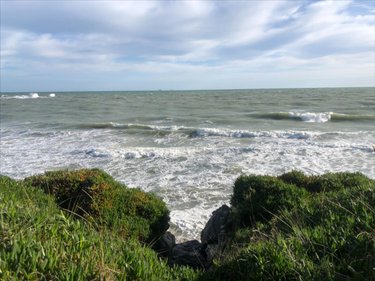 Bien agricole a vendre Réville 50760 Manche  96000 euros