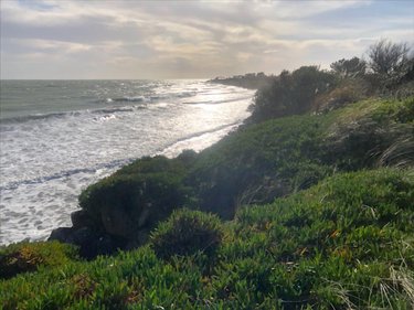 Bien agricole a vendre Réville 50760 Manche  96000 euros