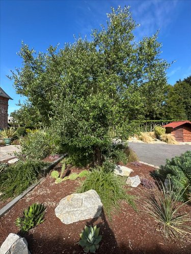 Maison a vendre Hautot-sur-Mer 76550 Seine-Maritime 182 m2 8 pièces 549000 euros