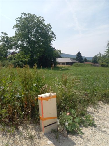 Terrain a batir a vendre Voray-sur-l'Ognon 70190 Haute-Saône 760 m2  82000 euros