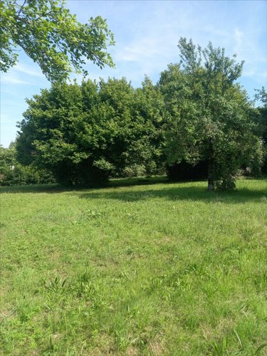 Terrain a batir a vendre Châtillon-le-Duc 25870 Doubs 878 m2  95000 euros