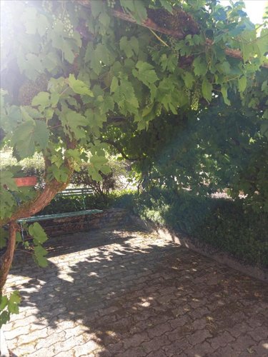 Maison a vendre Cendrey 25640 Doubs 138 m2 6 pièces 150000 euros