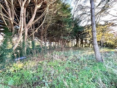 Terrain a batir a vendre Lessay 50430 Manche 2869 m2  221040 euros