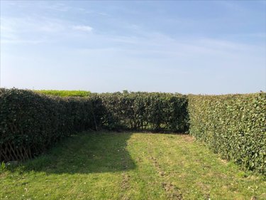 Bien agricole a vendre Réville 50760 Manche  64200 euros