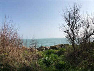 Bien agricole a vendre Réville 50760 Manche  64200 euros