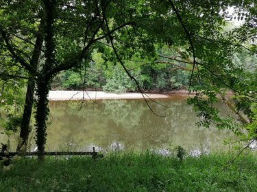 Terrains de loisirs bois etangs a vendre Mairé 86270 Vienne 1740 m2  42000 euros