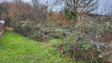 Terrain a batir a vendre Bart 25420 Doubs 3700 m2  99000 euros