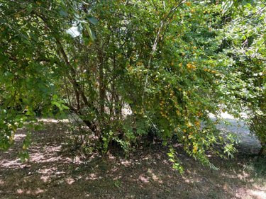 Terrain a batir a vendre Marans 17230 Charente-Maritime 1735 m2  141750 euros