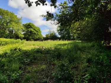 Terrain a batir a vendre Neufmesnil 50250 Manche 2040 m2  27872 euros