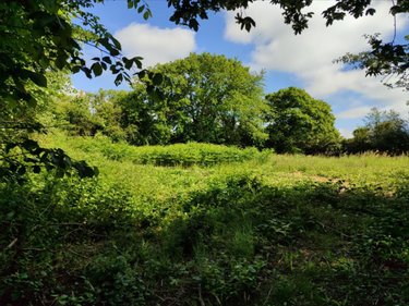 Terrain a batir a vendre Neufmesnil 50250 Manche 2040 m2  27872 euros