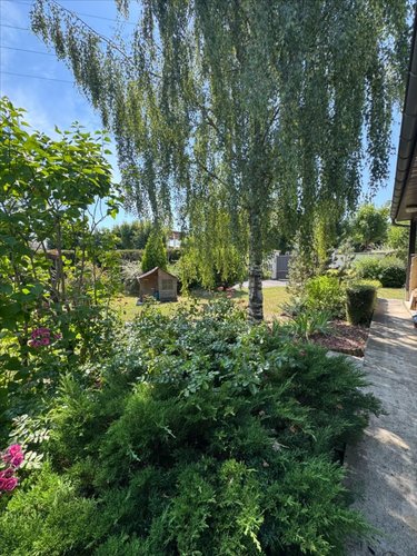 Maison a vendre Tinqueux 51430 Marne 173 m2 6 pièces 617000 euros
