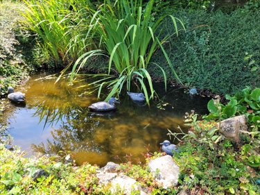 Maison a vendre Saint-Ouen-du-Tilleul 27670 Eure 222 m2 6 pièces 299250 euros