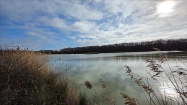 Terrains de loisirs bois etangs a vendre Mézières-en-Brenne 36290 Indre 72531 m2  213000 euros